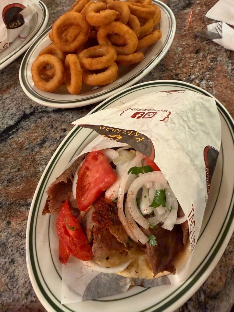 Fontana Famous Pizza & Gyro - Gyro and onion rings