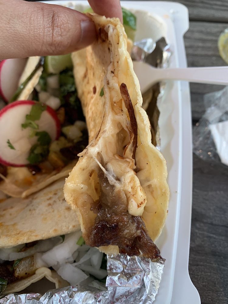 Crazy Tacos - Inside of a Brisket quesadilla
